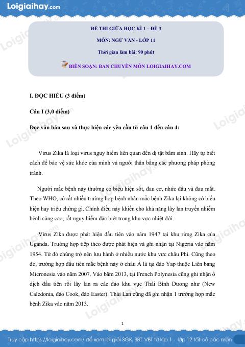 Đề kiểm tra giữa học kì I Ngữ văn 11 - Đề số 3 có lời giải chi tiết